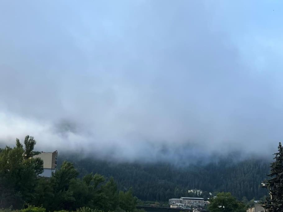 Ana'S Cosy Home In Borjomi Center Exterior photo
