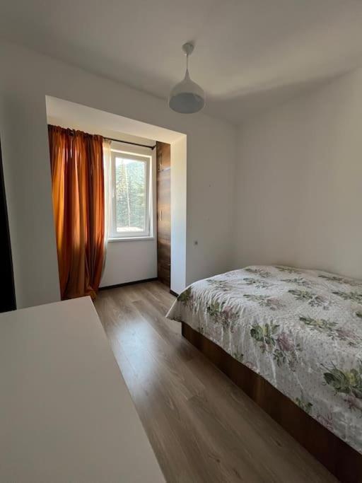 Ana'S Cosy Home In Borjomi Center Exterior photo